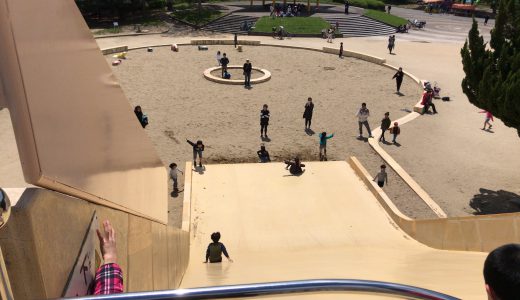 大泉緑地で家族が最高に楽しめる３つの場所〜恐怖のすべり台・ザリガニ釣り・大芝生広場を楽しもう〜