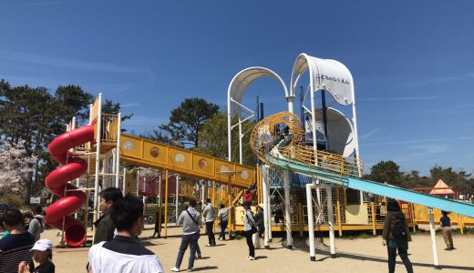 服部緑地公園の遊具を保育士がレビューしてみた！〜遠足で服部緑地公園へ行こう〜