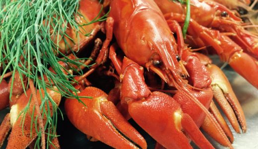 IKEA鶴浜でザリガニを食べる！〜食用ザリガニが日本で流行る３つの理由〜