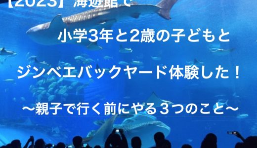 【2023】小学3年と2歳の子どもと海遊館でジンベエバックヤード体験した！〜海遊館に親子で行く前にやる３つのこと〜
